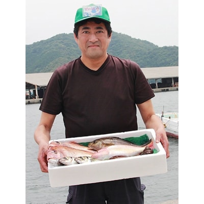 無添加・天日干し　ピチピチ朝獲れ鮮魚の天日干し　6枚【C26−7】【配送不可地域：離島】【1044327】