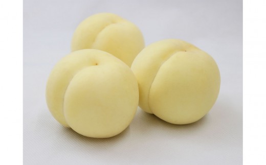 岡山冬桃がたり約1.35kg（7～9玉）【2026年12月上旬以降発送】