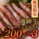 【ふるさと納税】【数量限定】飛騨牛 ヒレ ステーキ A5 等級 量が選べる (150g / 300g / 450g / 600g / 750g) 冷蔵 希少部位 高級 黒毛和牛 和牛 国産 牛肉 赤身 誕生日 記念日 お祝い 鉄板焼き 焼肉 バーベキュー BBQ キャンプ アウトドア お取り寄せ グルメ F4N-1246var