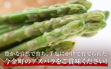 【先行予約】朝採れ新鮮アスパラ 750g （Lサイズ）（2025年3月下旬～6月中旬または7月上旬～9月上旬頃発送） 野菜 秀品 北海道産 バーベキュー BBQ キャンプ 旬野菜 アスパラガス 栄養満