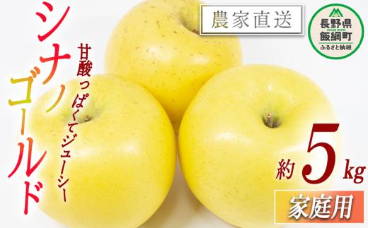 りんご シナノゴールド 家庭用 5kg 松橋りんご園 沖縄県への配送不可 2026年11月上旬頃から2026年12月中旬頃まで順次発送予定 令和8年度収穫分 フルーツ リンゴ 信州 長野県 飯綱町 [0828]