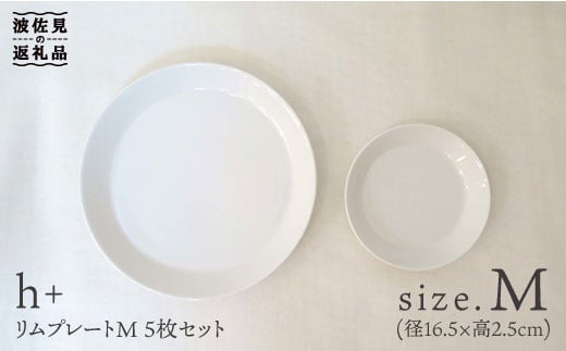 【波佐見焼】リム プレート M 5枚セット 食器 皿 【堀江陶器】 [JD25]