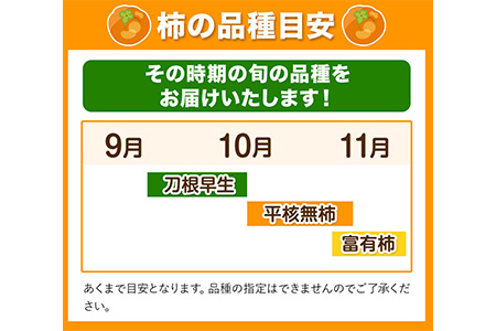和歌山県産 柿 約2.5kg(11玉-12玉)前商店《9月下旬-11月中旬頃出荷》