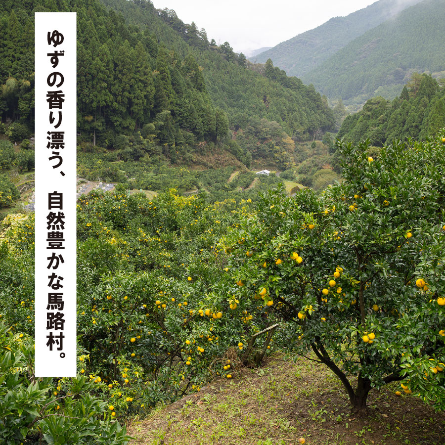 ゆずリキュール [ゆずの村酒造・辛口/500ml×6本] 柚子酒 リキュール ゆず酒 果実酒 ゆず はちみつ 宅飲み 家飲み 有機 オーガニック 産地直送 プレゼント ギフト 贈り物 贈答用 お中元 