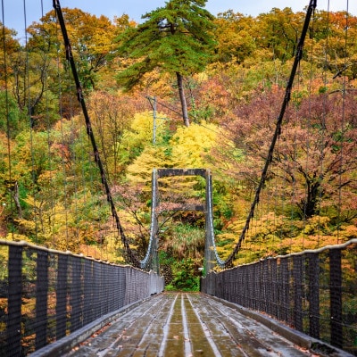 選ばれる温泉体験 60,000円分の温泉宿泊利用券【1711734】