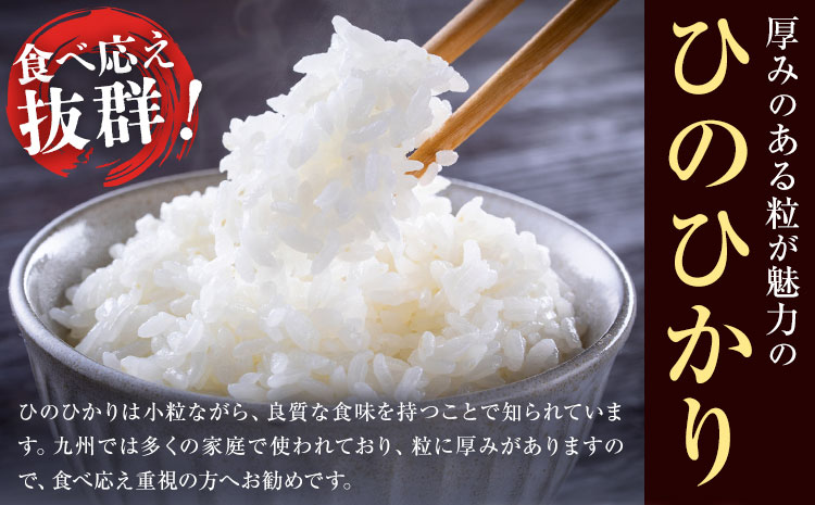 七城のお米 ヒノヒカリ 5kg 通常パッケージ 白米 精米 令和7年産 堀田農場《30日以内に出荷予定(土日祝除く)》お米 ひのひかり 熊本県 菊池市 熊本県産 九州産 送料無料---030-5002