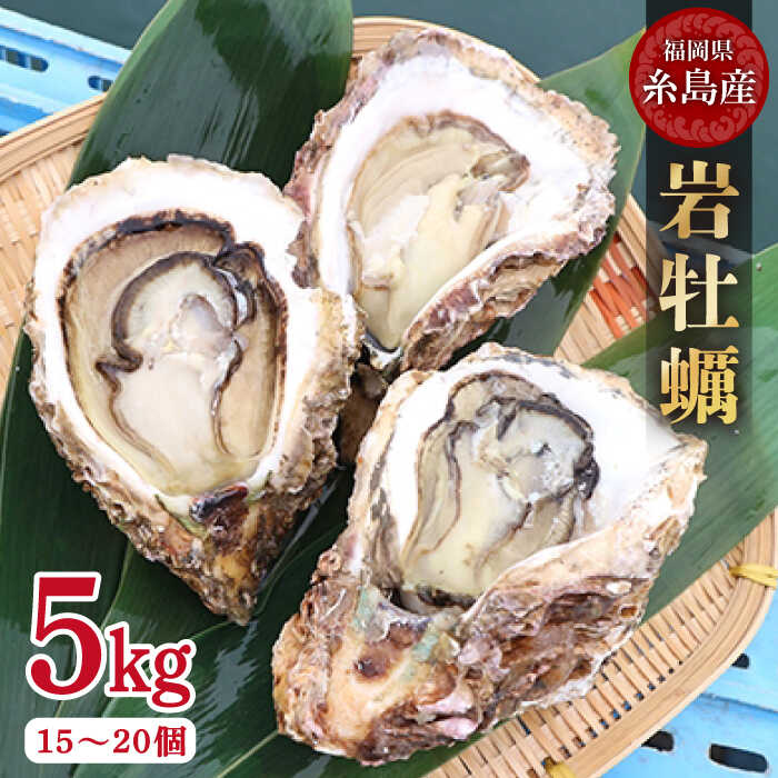 【ふるさと納税】【特大!!】岩牡蠣 糸島産 5kg (約15~20個) 糸島 / JF糸島 糸島漁業協同組合 [AKD008] 22000円 岩カキ 岩ガキ