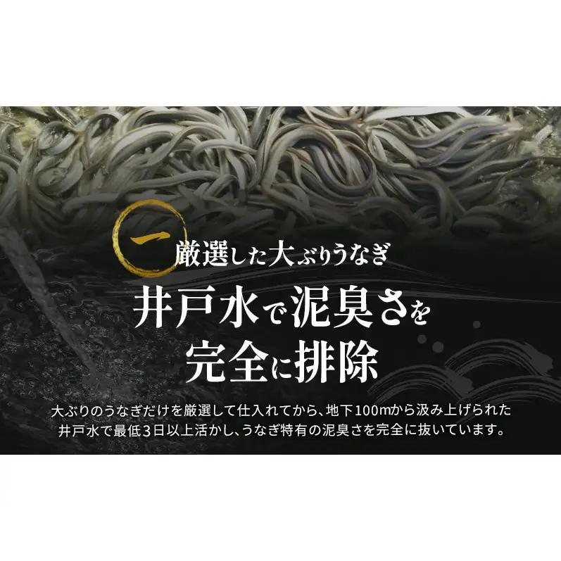 国産 うなぎ 蒲焼 1尾 (約160g×1尾 タレ75ml×1本 山椒×1袋) 鰻 国産 浜松うなぎ 浜名湖うなぎ 蒲焼き プレゼント 贈答 浜名湖 産地直送 冷凍 冷凍配送 静岡 浜松市