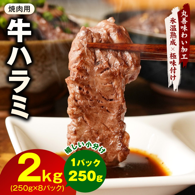 【氷温熟成×極味付け】牛肉 ハラミ 2kg（250g×8P） mrz0427
