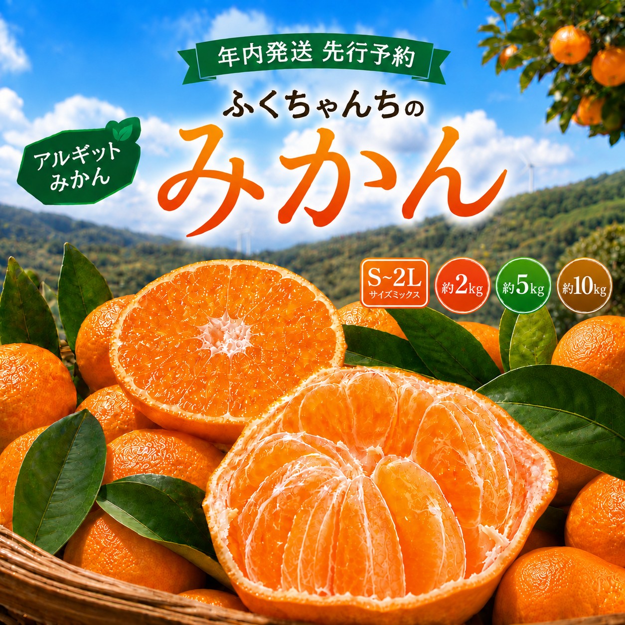 【ふるさと納税】 先行予約 年内発送 ふくちゃんちのみかん サイズ ミックス 選べる 内容量 約 2kg ～ 10 kg 令和8年 12月初旬 ～ 順次発送 ｜ みかん ミカン 蜜柑 アルギット 有機栽培 農家直送 海草 S M L 2L 詰め合わせ 不揃い 瀬戸内 年内配送 山口県 平生町
