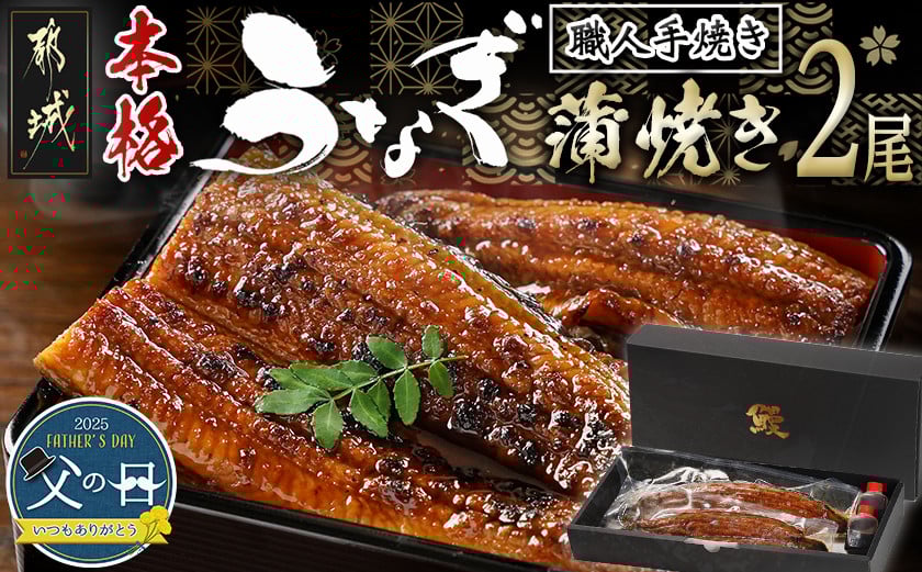 
            【父の日】職人手焼きの本格うなぎ蒲焼き2尾≪6月12日～15日お届け≫_MJ-3305-FG_(都城市) 国産 本格 うなぎ 鰻 蒲焼 宮崎 じっくり 特製タレ 香り豊かな ふっくら 香ばしい お中元 父の日ギフト
          