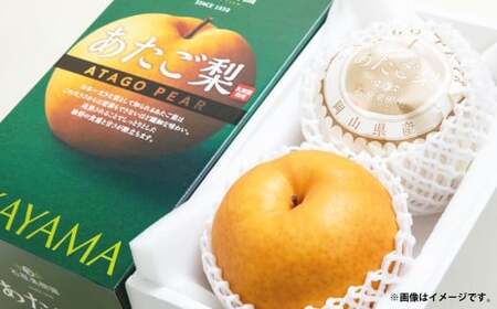 あたご梨 約950g×2玉 計約1.9kg 化粧箱 ／ 愛宕梨 梨 なし ナシ 果物  【2026年11月下旬～12月下旬発送予定】