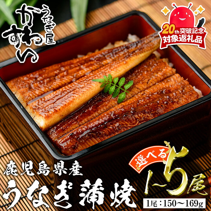 【ふるさと納税】＜内容量が選べる＞＜うなぎ屋かわすい＞鹿児島県産 国産うなぎ蒲焼 (1本あたり150〜169g×1〜5本) タレ入り 鰻 ウナギ うなぎ うな重 鹿児島県産 冷凍 かわすい 【川口水産】