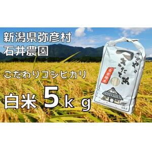 【新米】新潟県弥彦村石井農園　令和6年産コシヒカリ【白米 5kg】【1508845】