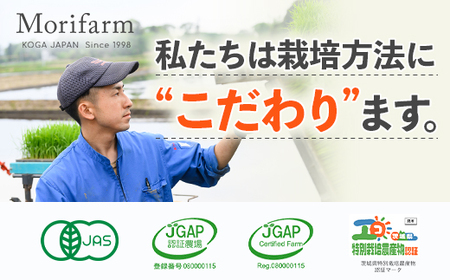 摘みたて！便利な小分け！冷凍いちご1kg(500g×2)_BI08