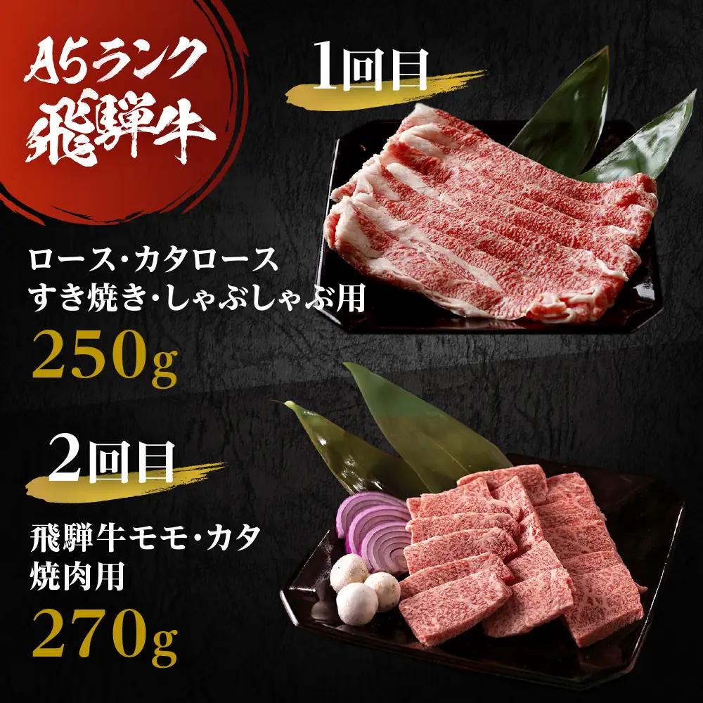 A5飛騨牛 定期便 5回 ちょこちょこお届け 牛肉｜ 定期便 