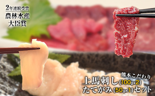 上赤身馬刺し200g+たてがみ50gセット《7-14日以内に出荷(土日祝を除く)》馬刺し ブロック 国産 熊本肥育 冷凍 生食用 たれ付き 上赤身馬刺し100g×2 ＋たてがみセット50g  肉 絶品 牛肉よりヘルシー 馬肉 平成27年28年 農林水産大臣賞受賞 熊本県玉東町