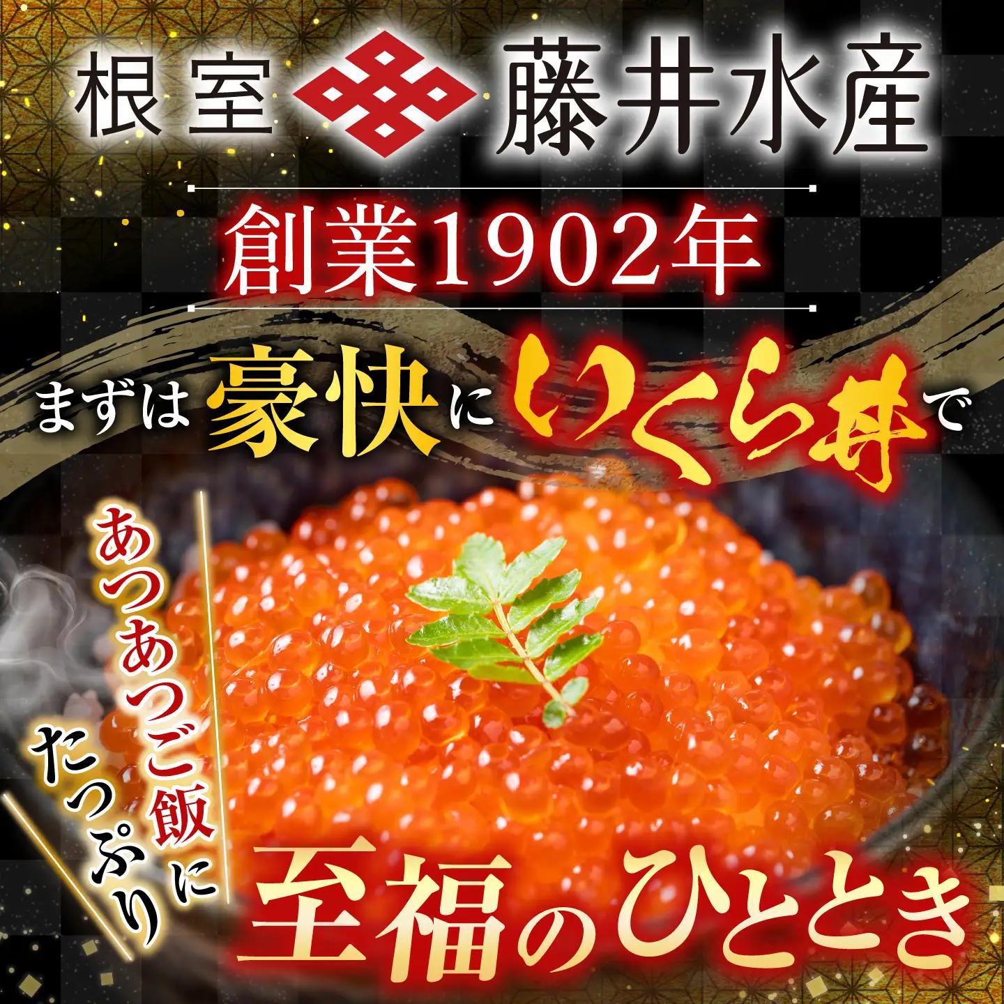 ＜鮭匠ふじい＞いくら・サーモンづくし C-42015
