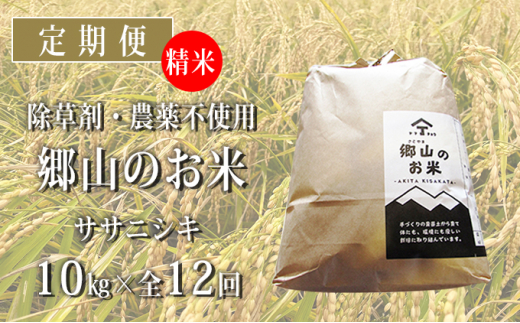 
定期便 10kg×12ヶ月 農薬・除草剤不使用 体に優しいササニシキ「郷山のお米」（5kg×2袋）
