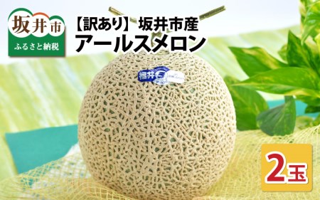 【先行予約】【訳あり】坂井市産 アールスメロン 2玉 【2026年9月上旬以降順次発送予定】[A-3232]