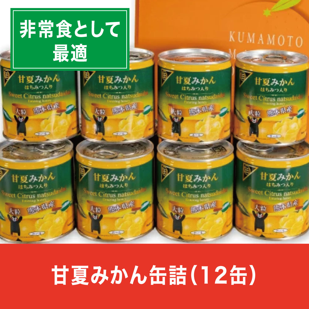 【ふるさと納税】缶詰 セット ギフト かんづめ 甘夏 夏みかん みかん 保存食　甘夏みかん缶詰（12缶入）