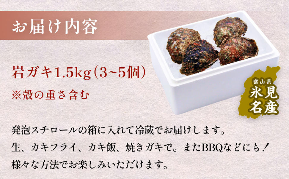 【冷蔵便】生食可能！氷見産 天然岩ガキ 1.5kg（3～5個入）
