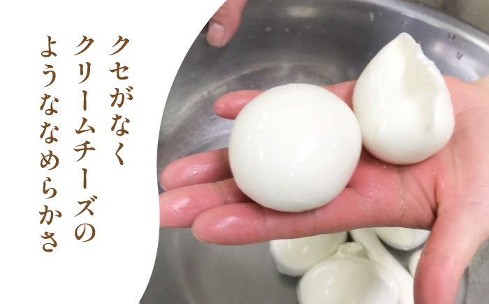 【全3回定期便】自家製 ナチュラルチーズ サンモッツア 4個 ( 100g × 4個 ) / チーズ モッツァレラチーズ  乳製品 熊本 山都町【山の未来舎】[YBV016] 31000 31,000