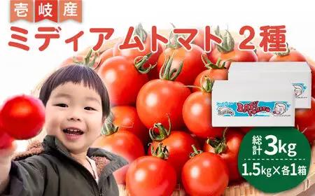 ミディアムトマト 3kg（1.5kg×2箱）《壱岐市》【ISLAND FARM】[JFL002]