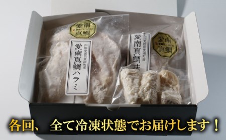 定期便 全6回 愛南の魚料理 クエ鍋セット タマクエ 鯛 タイ お造り 刺身 さしみ シマアジ フィーレ フィレ 鯛めし 丼 醤油 漬け カツ フライ ハラミ 唐揚げ カマ 焼き グリル 海鮮 魚介 