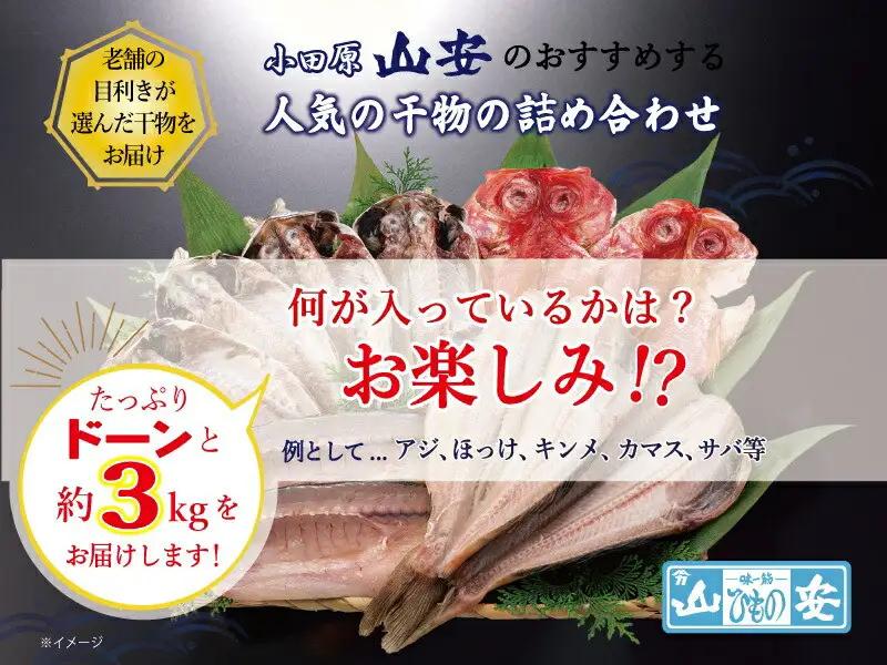 【寄附額見直しました！】【 小田原 山安 】 おまかせ干物セット 約3kg 【干物 ひもの】