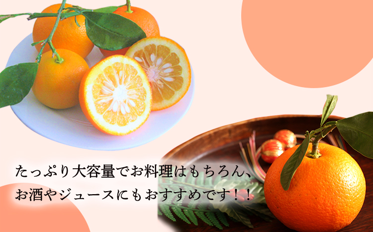  だいだい(橙)の手絞り果汁200ml×5p 保存料不使用 果物の果汁 濃縮還元なし 自家製ポン酢やサワー TF0881-P00074