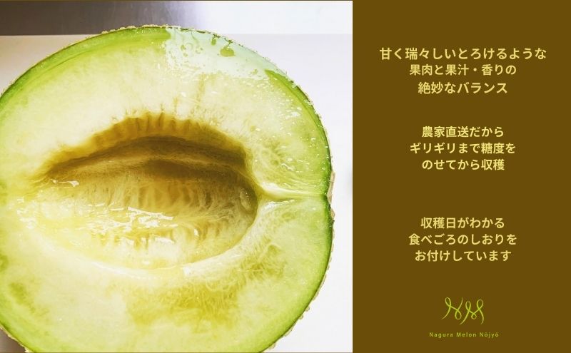 【先行予約】マスクメロン＆メロンパンセット メロン 人気