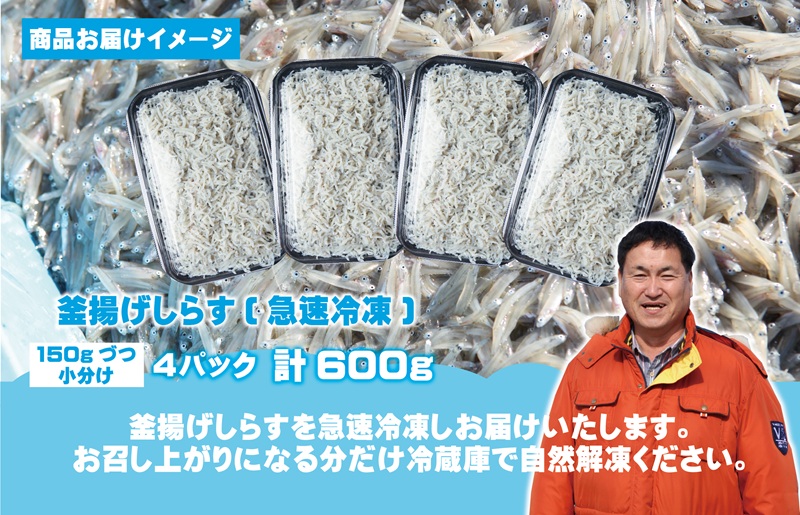 減塩 釜揚げしらす 600g【小分け 150g×4P シラス 国産 魚介類 しらす ご飯のお供 海鮮丼 冷凍】 G2182