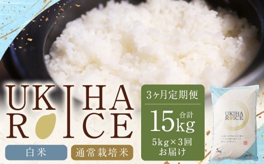 【3ヶ月定期便】 みずほファーム UKIHA RICE 白米 5kg×3回 （通常栽培米） 計15kg ヒノヒカリ ひのひかり 精米 米 こめ コメ お米 おこめ 白米 精米 ごはん ご飯 お中元 お歳暮 ギフト プレゼント 贈答品 定期便 おすすめ 国産