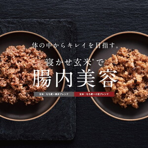 MOCCHIRI BROWN RICE（寝かせ玄米※） 30食黒米ブレンド単品