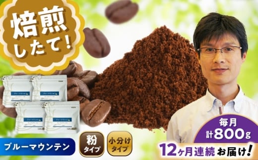 【全12回定期便】ブルーマウンテンNo.1 コーヒー粉 200g×4個 (粉/中挽き) / 珈琲 コーヒー 粉 / 瀬戸市 / Ｃｏｆｆｅｅ　ＳＡＫＵＲＡ [BBAB097]