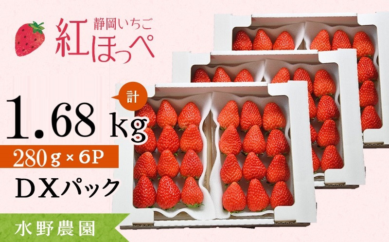 
６２８０　掛川産完熟いちご 紅ほっぺ 280g×6P 1.68ｋｇ (1ｐ：8～15粒入)　※発送時期をお選び下さい①1月 ②2月 　受付順に順次発送・ 水野農園
