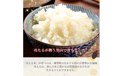 【3カ月定期便】ほたる米 10kg（茨城県共通返礼品・城里町産） / 米 こめ コメ お米 おこめ ほたる米 白米 精米 ごはん ご飯 令和7年産 10kg 定期便 茨城県 城里町 利根町
