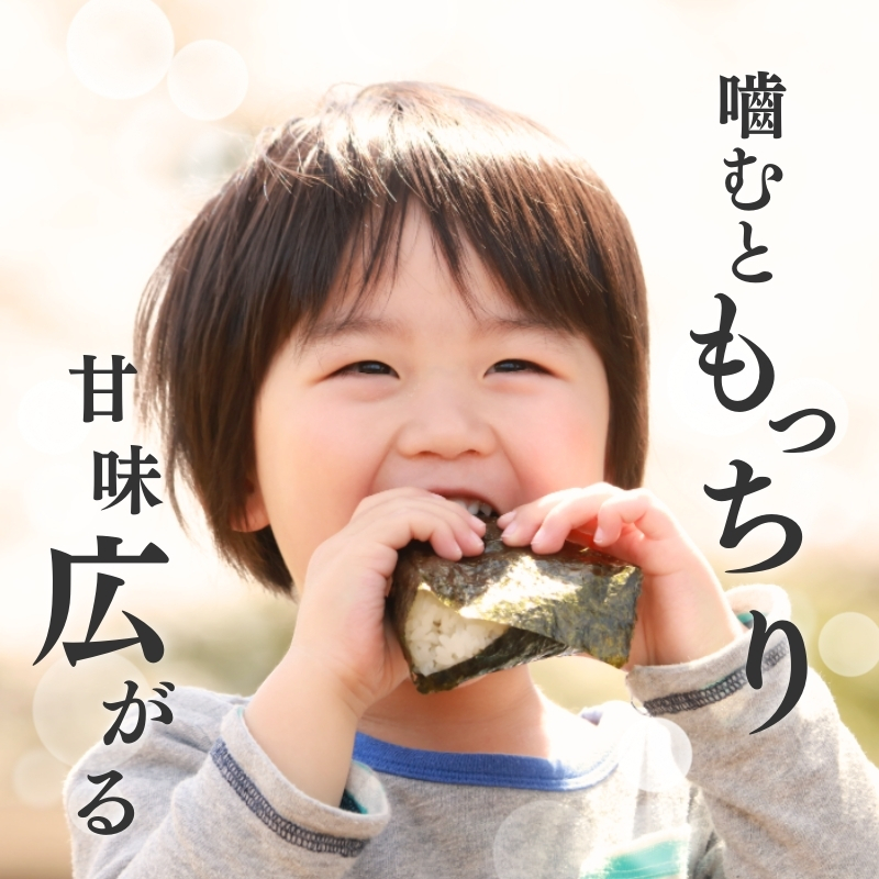 令和7年産 新潟県上越産こしひかり 精米 5kg 6か月定期便 上