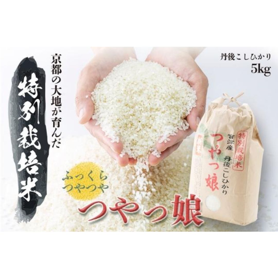 令和7年産 特別栽培米つやっ娘米 5kg 丹後こしひかり お米 米 ご飯 コシヒカリ お米 つやっ娘 丹後 宮津 京都 海の京都 特別栽培米 グルメ  myz06 myz11 myz19
