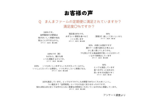014-021　まんま野菜の宝箱セット M