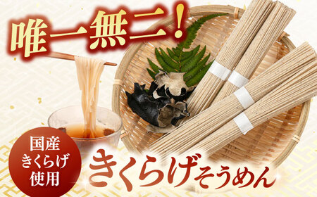 きくらげ麺(20束)　桂川町/オドラ株式会社[ADBA012]