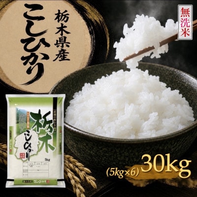 《無洗米》【令和8年産新米】【食味鑑定士厳選】栃木県産コシヒカリ30kg(5kg×6袋)(矢板市)【1782133】