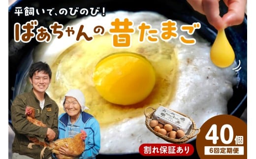【6回定期便】平飼いで のびのび！ばあちゃんの昔たまご 40個/月 割れ保証あり 999-B619