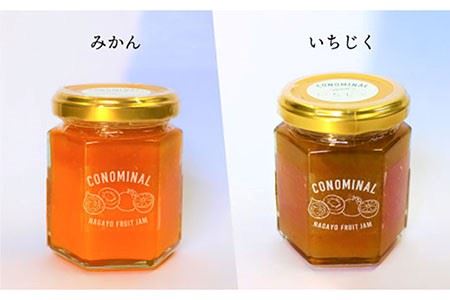 【全12回定期便】 季節の果実ジャム 毎月3本（120g/本） 長与町/アグリューム [EAI009]  瓶 個別 セット ジャム