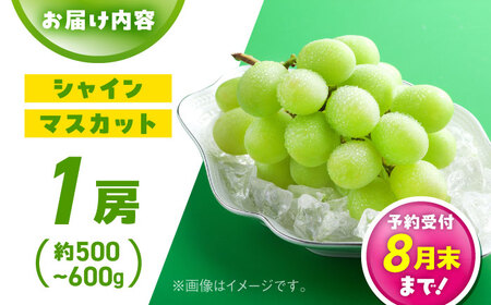 【先行予約】　シャインマスカット 1房（約500?600g）　【中島農園】[AYCX002]