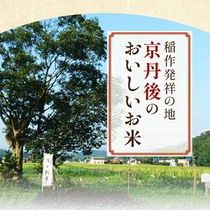 【3ヶ月定期便】2026年産 京都・京丹後峰山 特別栽培米コシヒカリ 3kg 【白米】 1等米 検査済証付　お米 精米 お弁当 おにぎり 京都府産 白米 特別栽培 一等米 ふるさと納税 米 定期便 生