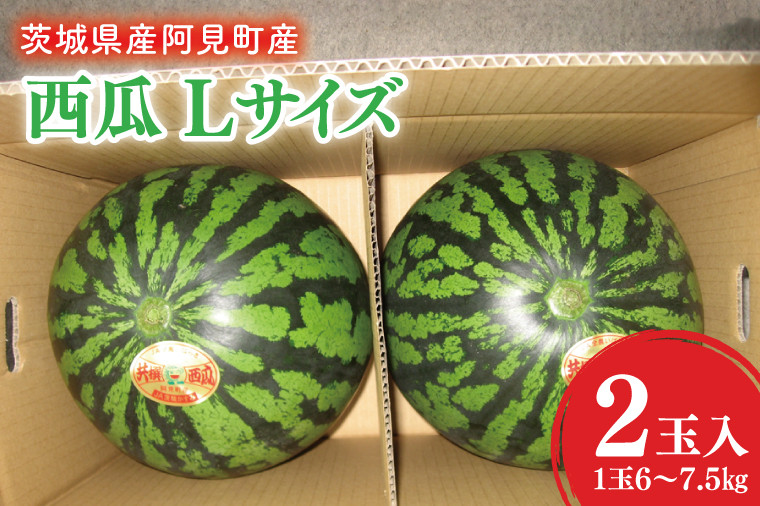 
                  【先行予約】【2025年6月中旬より発送予定】茨城県産大玉すいか2玉（1玉6～7.5kg）JA水郷つくば【スイカ 西瓜 フルーツ 果物 くだもの 大玉 茨城県 阿見町】(20-04)
                