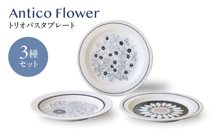 【美濃焼】アンティコフラワー トリオパスタプレート 3枚セット【二幸】花柄 食器セット アンティーク[MCZ128]