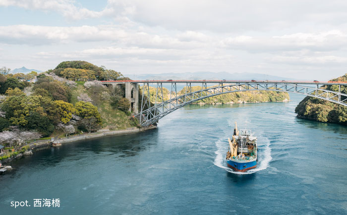【返礼品なし】 長崎県 西海市 ふるさと応援寄附金（50,000円分） [CZZ035]